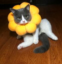 超可愛い エリザベスカラー 猫用 術後ウェア ソフト 犬用 調整可能 柔らかい 軽量 通気性 ネコ イヌ おもちゃ かわいい 向日葵 無地 ペット雑貨 傷舐め防止 ヘルスケア ひまわり型首輪 安全素材で作り 安心感 4サイズ選択 chongwu-4379 海外通販