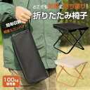 折りたたみ椅子 イス アウトドアチェア 持ち運び 小型 室内 屋外 イベント 釣り 運動会 BBQ キャンプ 軽量 折り畳み コンパクト レジャー お花見 花火大会 DZ-002 海外通販