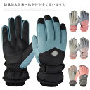 手袋 スキーグローブ レディース メンズ 裏起毛 裏ボア スノー手袋 通勤 通学 自転車 かわいい あったか 冬 あったか 暖かい スキーグ 防寒 防風 撥水 ...