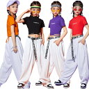 二点セット Tシャツ ワイドパンツ 白 半袖 ヒップポップ 無地 子供 女の子 ダンスウェア ジュニア スポーツ ジャズ カジュアル シンプル 普段着 応援団 ...