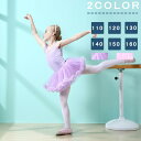 バレエ レオタード ballet用品 演出 バレエ 子ども レース バレエ形体服 女の子 ダンス服 新体操 レッスン 練習着 バレエ発表会 ステージ ピンク バ...