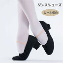 バレエ シューズ フォークダンス ダンスシューズ モダンダンス キャラクターシューズ 大人 レディース フラダンス 演奏 合唱 ジャズダンスシューズ 練習用 レ...