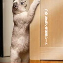 つめとぎ防ぐ用保護シート 5枚セット 6枚セット 多用途 55*15cm、55*30cm、60*17cm、60*47cm 4サイズ選択 はがせるタイプ 半透明 ...