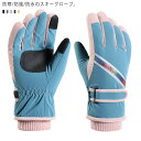 グローブ スノーボード レディース グローブ おしゃれ 裏起毛 ノーグローブ スキー メンズ 防水 タッチパネル対応 スノーボード 滑り止め アウトドア 雪遊び...