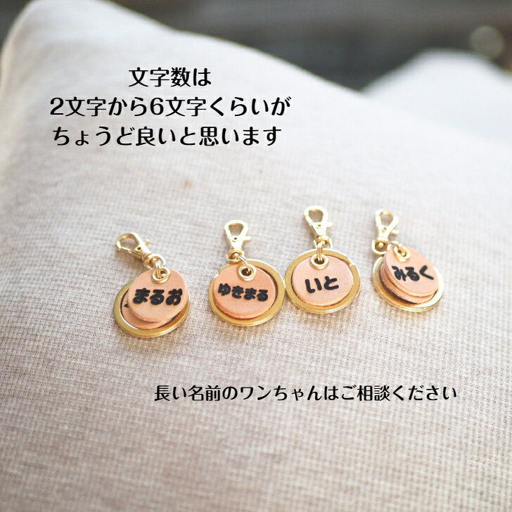 【レビュー投稿で200円クーポン】 迷子札 Pooches 名前 電話番号 本革 ヌメ革 ゴー...