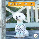 【200円offクーポン有】犬服 夏服 接触冷感 カバーオール ロンパース 水玉 つなぎ プーチーズ UV 汚れ防止 アウトドア 水遊び スルスルしてる お散歩 ドッグラン おしゃれ かわいい 日本製 SS/S/M/L/LL 着せやすい 速乾 縦横 伸び率200% トイプードル 足付 足つき