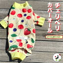 商品画像1