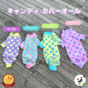 【200円offクーポン有】 犬服 夏 接触冷感 ロンパース カバーオール キャンディ プーチーズ pooches UV 汚れ防止 つなぎアウトドア 水遊び スルスル生地 お散歩 ドッグラン おしゃれ かわいい 日本製 SS/S/M/L/LL 着やすい 速乾 縦横 伸び率200% トイプー 足付