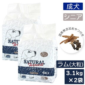 期間限定ポイント2倍 ナチュラルハーベスト メンテナンス ラム 大粒 3.1kg×2袋 ドッグフード 犬 フード ラム 羊肉 美味しい 成犬 シニア犬 国産おやつ付き