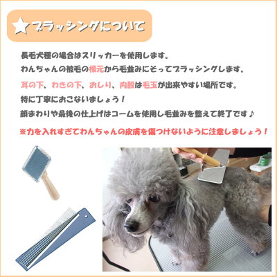 スリッカーブラシ ハードタイプ　小 (45x90mm) 岡野製作所ステンレス製 犬 猫 ペッ...
