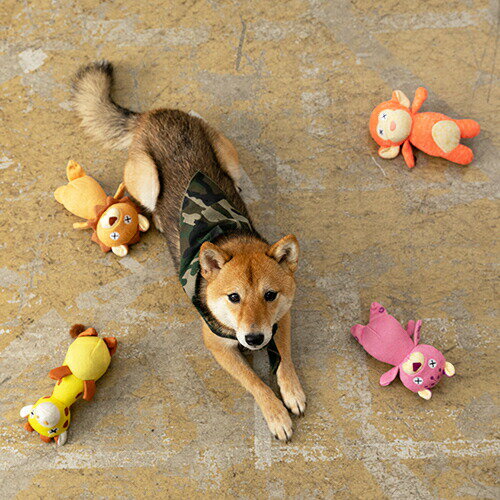 FAD ���ե��ꡦ�ץ�å���ȥ� �ѥ󥵡� S �� ������� �̤������