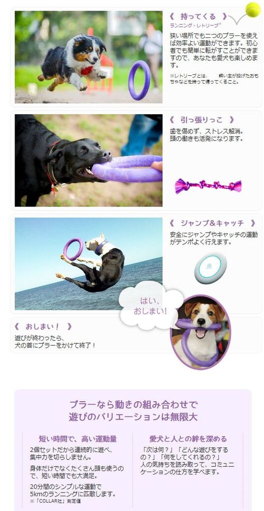 楽天市場 プラー ミニ Puller 犬 おもちゃ 犬用 トレーニング ドッグトレーナー推奨 投げる ひっぱる3980円以上で送料無料 いぬとねこのトイスマ みんなのレビュー 口コミ