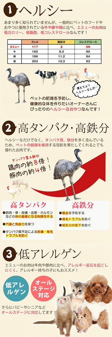 楽天市場 ゆうパケットok メール便 ちょこっと極みシリーズ 北海道産エミュー スジ肉の煮込み 50g 国産 完全無添加 犬 ドッグ フェレット 猫 フード エサ 餌 おやつ 国産 健康維持 オールステージ 全年齢 レトルト非常食 低脂肪 低カロリー 低コレステロール