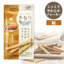 きなり しっとりやわらかジャーキー 鮭 6本入り【国産】【無添加】犬 ドッグ おやつ 国産素材 さけ サケ 乳酸菌 柔らかい 無香料 無着色 個包装 小分け 小袋 お散歩 お出かけ 旅行 全犬種 小型犬 チワワ プードル 幼犬 子犬 成犬 高齢犬 シニア 低脂肪 【メール便可】