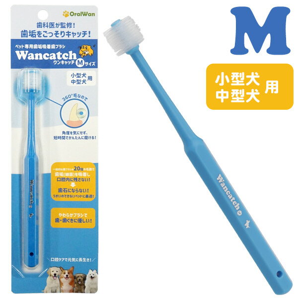 【ゆうパケットOK（メール便）】ワンキャッチ（Wancatch）歯ブラシ Mサイズ（小型犬・中型犬用）【ペット専用歯垢吸着歯ブラシ】【歯科..