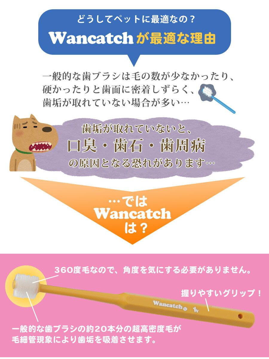 【ゆうパケットOK（メール便）】ワンキャッチ（Wancatch）歯ブラシ Mサイズ（小型犬・中型犬用）【ペット専用歯垢吸着歯ブラシ】【歯科医監修】　犬 ドッグ ペット 歯ぶらし お手入れ お口ケア デンタル 歯垢 歯石 口臭 歯みがき ハミガキ 歯ぐき 動画 2