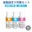 P. ピードット Bタイプ 皮脂詰まり対策3点セット 30ml 【臨床獣医師監修】犬 イヌ ドッグ フェレット 猫 シャンプー ペット用シャンプー 小動物 お手入れ ボディケア クレンジング 低刺激 被毛 毛穴 皮膚 脂漏性皮脂汚れ 乾燥 フケ かゆみ トラブル 保湿 ローション