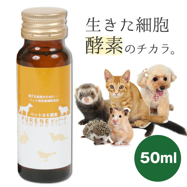 楽天プードルチャンネル楽天市場店ピュアーヌ　ペットde酵素50ml　犬 ドッグ ペット サプリメント グッズ