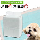 コーチョー 日本製 業務用シーツ中厚型ワイド（1袋50枚）　犬 ドッグ ペット トイレシート ペットシート グッズ