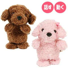 https://thumbnail.image.rakuten.co.jp/@0_mall/poodlechannel/cabinet/06288967/06288974/imgrc0071790030.jpg