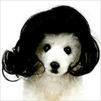 ペット用ウィッグ ピンナップ 犬 ドッグ ペット アクセサリー グッズ