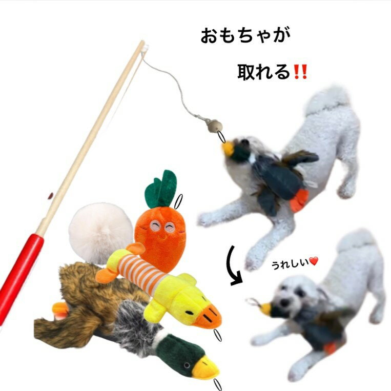 マラソン期間　おもちゃがとれちゃう犬じゃらし【超小型犬　小型犬】