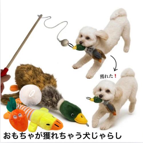 마라톤 기간 중 1,500엔으로 장난감을 잡을 수 있는 강아지 [초소형견] 강아지 장난감 강아지 장난감