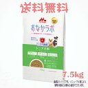 【送料無料】スーパーゴールド おなかラボ シニア犬用 7.5kg 森乳サンワールド ドッグフード 犬 アレルギー配慮 ドライフード シニア
