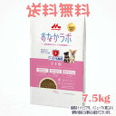 【送料無料】スーパーゴールド おなかラボ 子犬用 7.5kg 森乳サンワールド ドッグフード 犬 アレルギー配慮 ドライフード 腸内環境 子犬