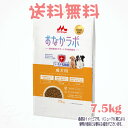 商品画像1