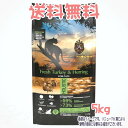 【送料無料】アンブロシア クラシック キャットフード ターキー&ヘリング 5kg トリッコインターナショナル 猫 餌 ご飯 食事 ごはん 総合栄養食 ウルトラ ...