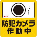 【凹凸面用】防犯カメラ フロアステッカー 3サイズ シール フロア 耐水 防水 床用 壁用 ピクトサイン ピクトマーク 看板 貼りやすい 屋内 屋外 足元 丈夫 アルミ コンクリート タイル モルタル 玄関 監視中