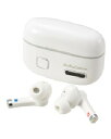 OHM(オーム電機) 完全ワイヤレス集音器 4971275316997 HP-WH500N