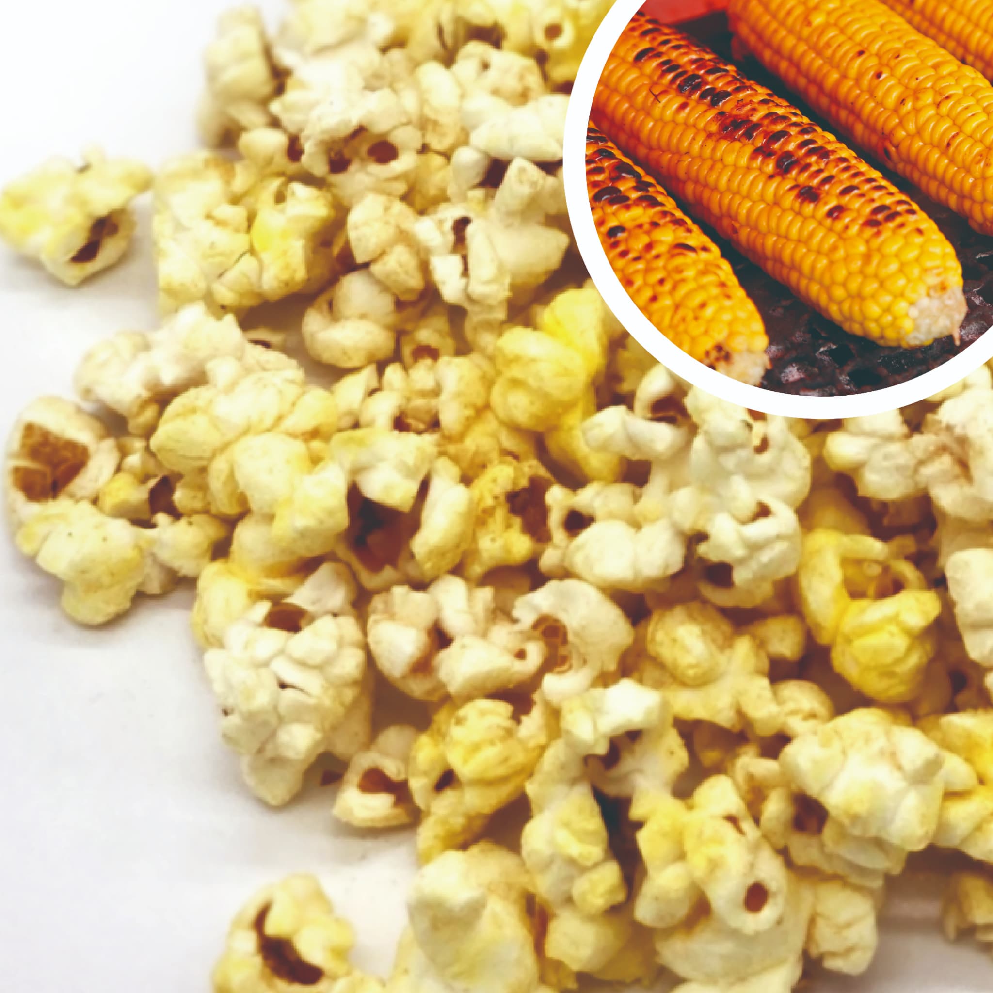 焼きとうもろこし ポップコーン