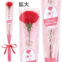 カーネーションかすみリボンラップ(中) 35cm(ラップ込) 布・PE・OPP【1本入】