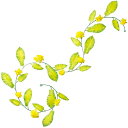 【春の装飾】菜の花ローコストガーランド L180cm花径/7cm 布・PE【1本入】