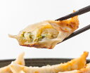 【送料無料】【絶品美味】栃木 宇都宮餃子「さつき」セット【お歳暮・お中元・ギフトに】【代引き不可】