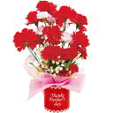 母の日カーネーションスタンド H40×W23cm 底面:Φ10cm 布・不織布・紙・PE・スチロール【1ヶ入】