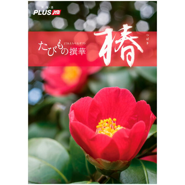 樂天商城 - たびもの撰華（椿コース）　　【1セット入】