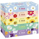 エリエール i:na ティシュー150W(5P) 22.5×22.9×11cm 【60パック入】