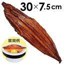 【納期一週間以上】食品サンプル うなぎ蒲焼き 75×300mm PVC【1枚入】