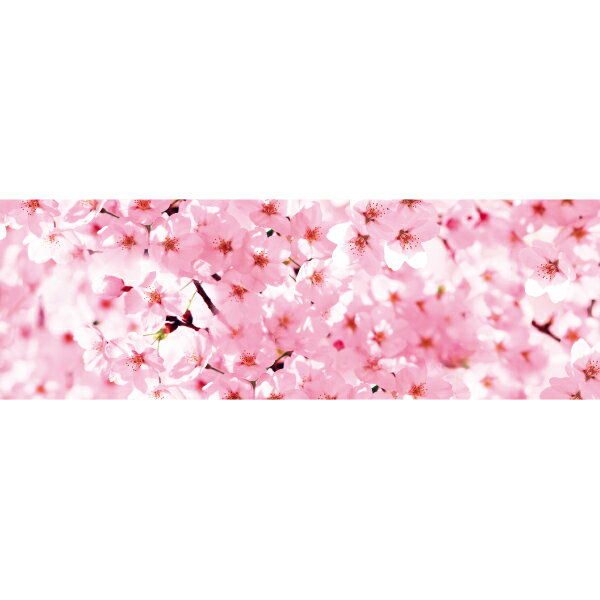 【納期一週間以上】ラウンドシート 桜（写真）　60×180cm　テトロンポンジ【1枚入】