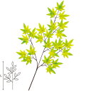 楓スプレー L60cm 布・PE【1本入】