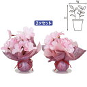 雅桜ボールPOPセット H16×W14cm 不織布・スチロール・ポリエステル【1セット入】