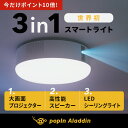 popIn Aladdin ポ...