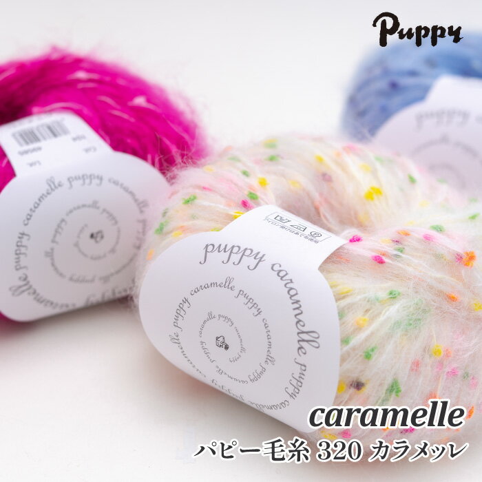 毛糸 超極太 パピー毛糸 320 カラメッレ 1玉 モヘア【在庫商品】のサムネイル