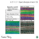 毛糸 中細 エクトリー毛糸 Y40217 Y40217 Opal Lifestyles 6-fach 1玉 毛 ウール 毛糸のポプラ