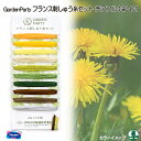 | IpX GP-C1 GARDEN PARTYtXhイZbg 1P hイ ю̃|v