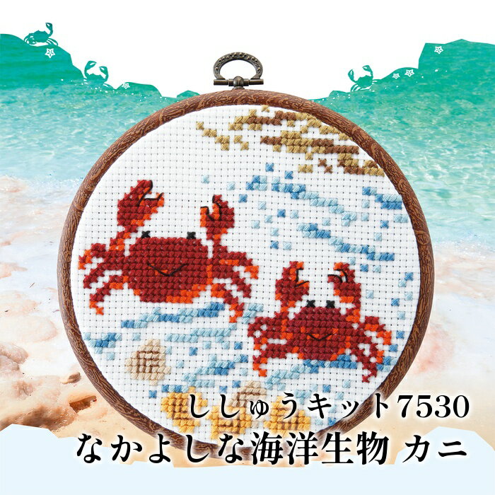  KIT ѥ ɤ夦å7530  1 ڼʡ