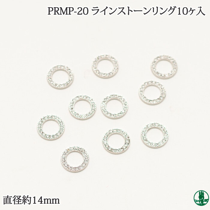 PRMP-20 饤󥹥ȡ󥰡10 ӻΥݥץ